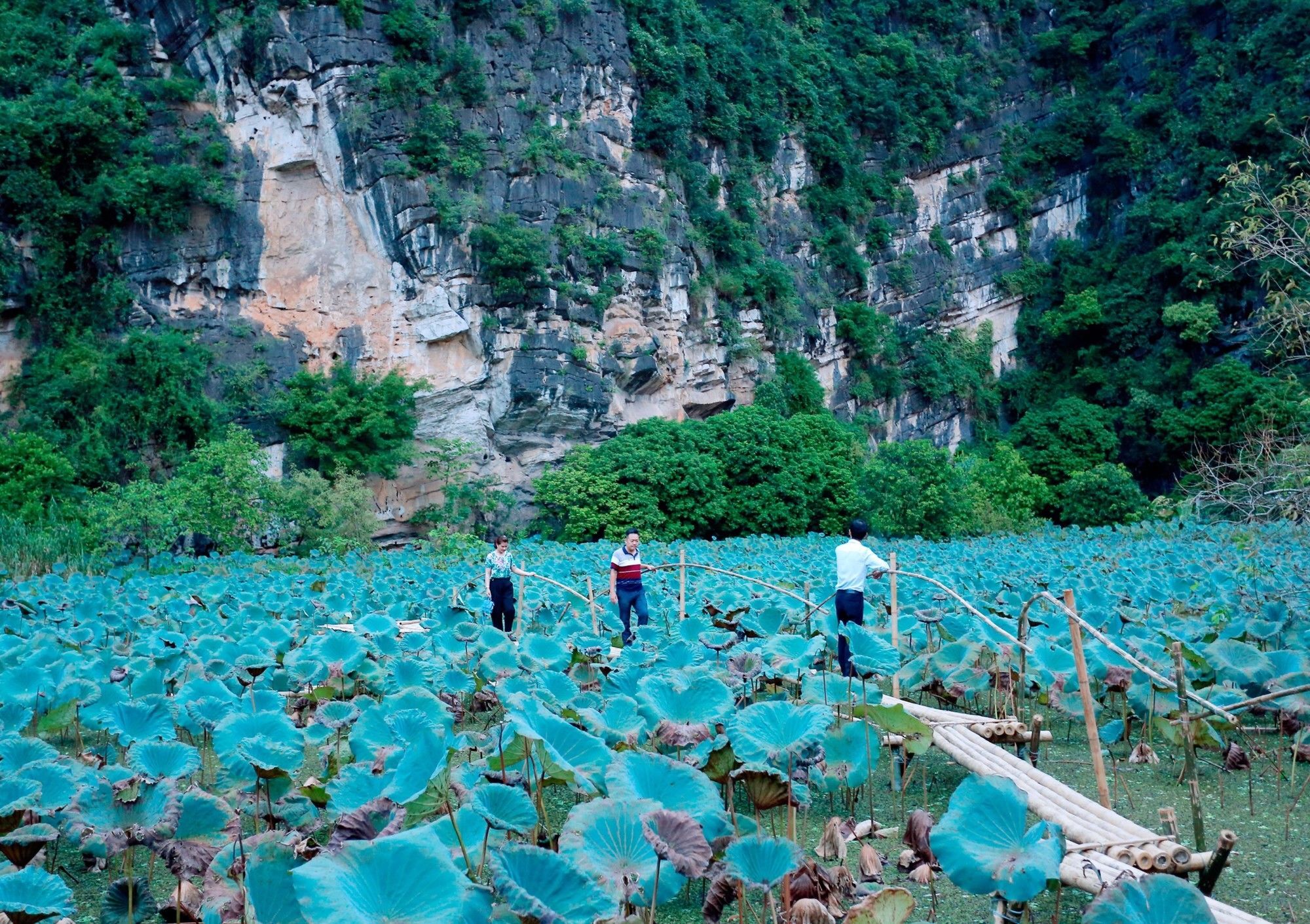 Trang An Heritage Garden Ninh Bình Exteriör bild